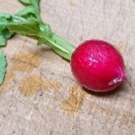 ラディッシュ 花 飾り切り レシピ 作り方 By Yoshi Original 楽天レシピ ラディッシュ 花 飾り切り レシピ 作り方 By Yoshi Original 楽天レシピ